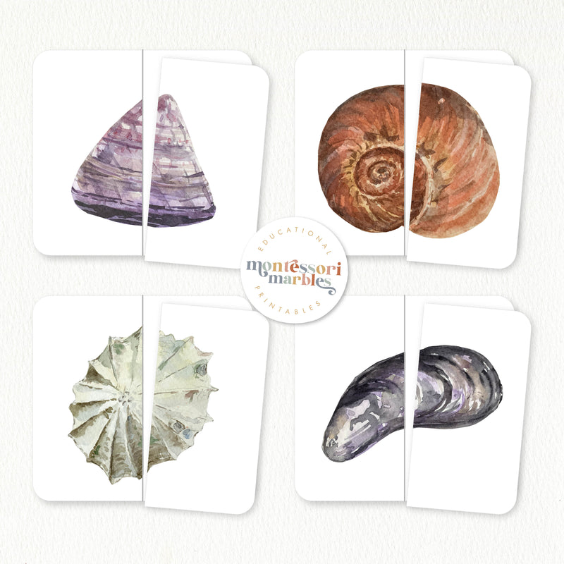 Seashells Two-Piece Puzzles
