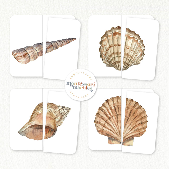 Seashells Two-Piece Puzzles