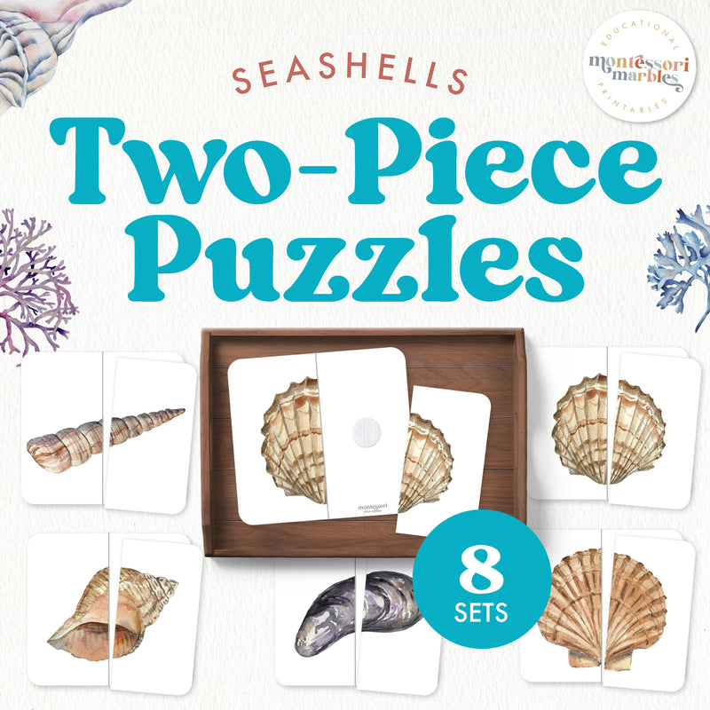 Seashell symmetry puzzles for summer beach learning