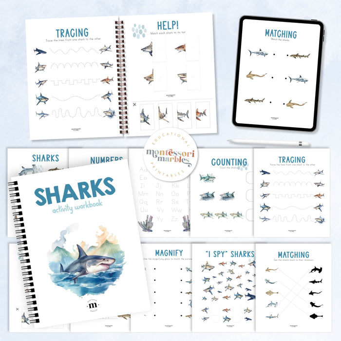 Sharks Activity Workbook