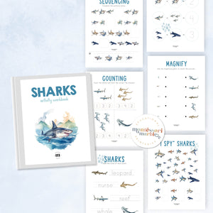 Sharks Activity Workbook