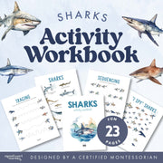 Sharks activity workbook with ocean exploration — ages 3-6