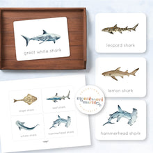 Load image into Gallery viewer, Sharks Flash Cards
