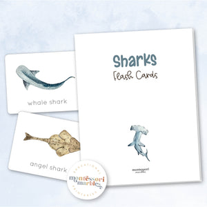 Sharks Flash Cards