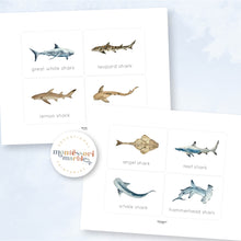 Load image into Gallery viewer, Sharks Flash Cards
