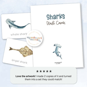 Sharks Flash Cards