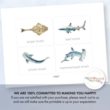 Load image into Gallery viewer, Sharks Flash Cards
