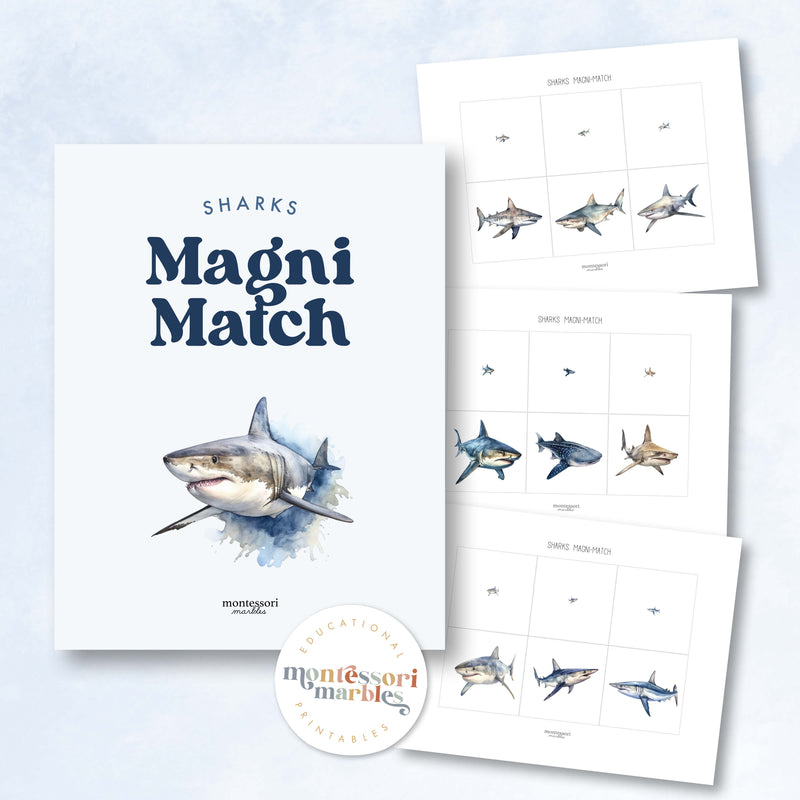 Sharks Magni Match