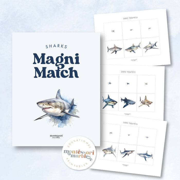 Sharks Magni-Match