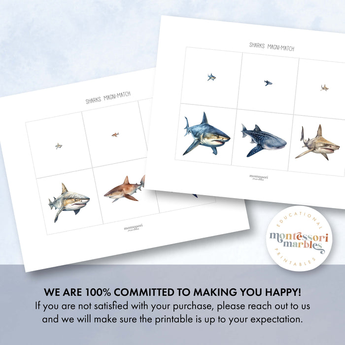 Sharks Magni-Match