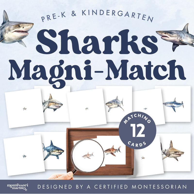 Shark magnifying glass matching activity for ocean learning — ages 3-6