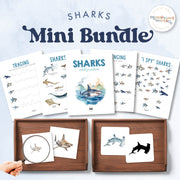 Sharks collection including vocabulary and activity cards for ocean study — bundle