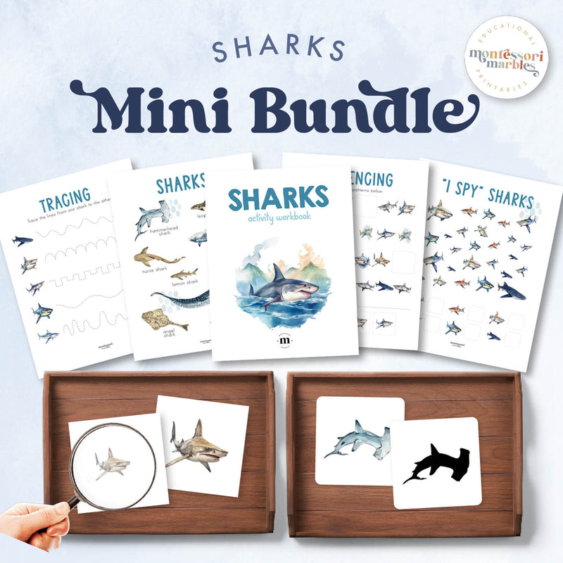 Sharks collection including vocabulary and activity cards for ocean study — bundle