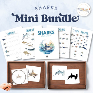 Sharks Mini Bundle