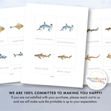 Load image into Gallery viewer, Sharks Nomenclature Cards
