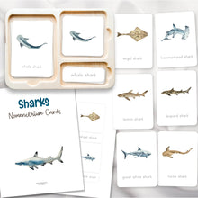 Load image into Gallery viewer, Sharks Nomenclature Cards
