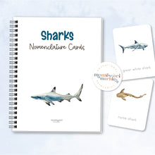 Load image into Gallery viewer, Sharks Nomenclature Cards
