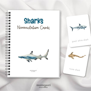 Sharks Nomenclature Cards