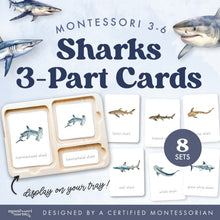 Load image into Gallery viewer, Sharks Nomenclature Cards
