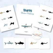 Load image into Gallery viewer, Sharks Mini Bundle
