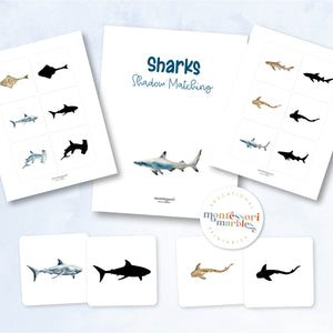 Sharks Mini Bundle