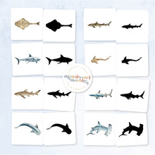 Load image into Gallery viewer, Sharks Shadow Matching
