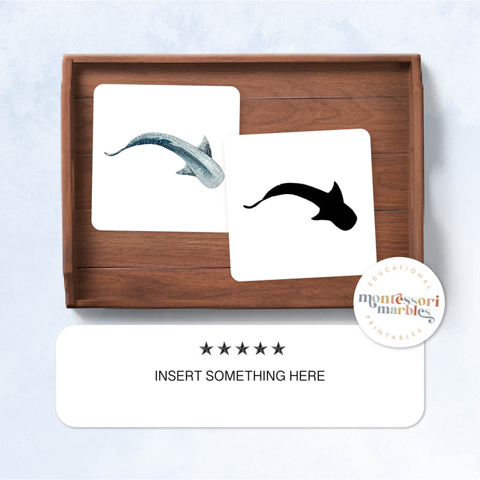 Sharks Mini Bundle