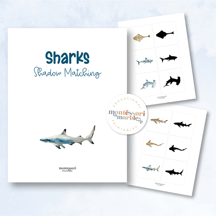Sharks Shadow Matching