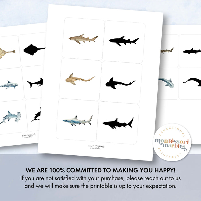 Sharks Shadow Matching