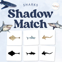 Load image into Gallery viewer, Sharks Shadow Matching
