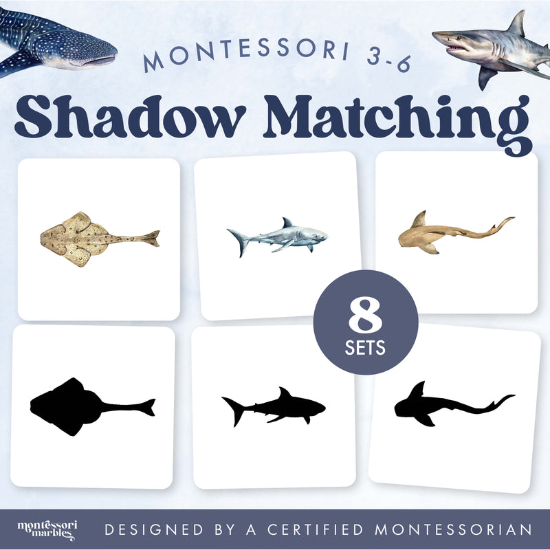 Shark shadow matching activity for visual discrimination and ocean study