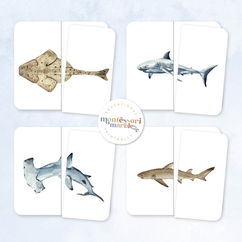 Sharks Two-Piece Puzzles