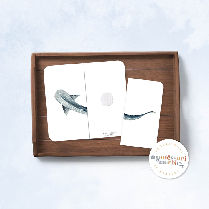 Sharks Two-Piece Puzzles