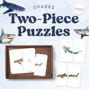 Shark symmetry puzzles for marine exploration practice
