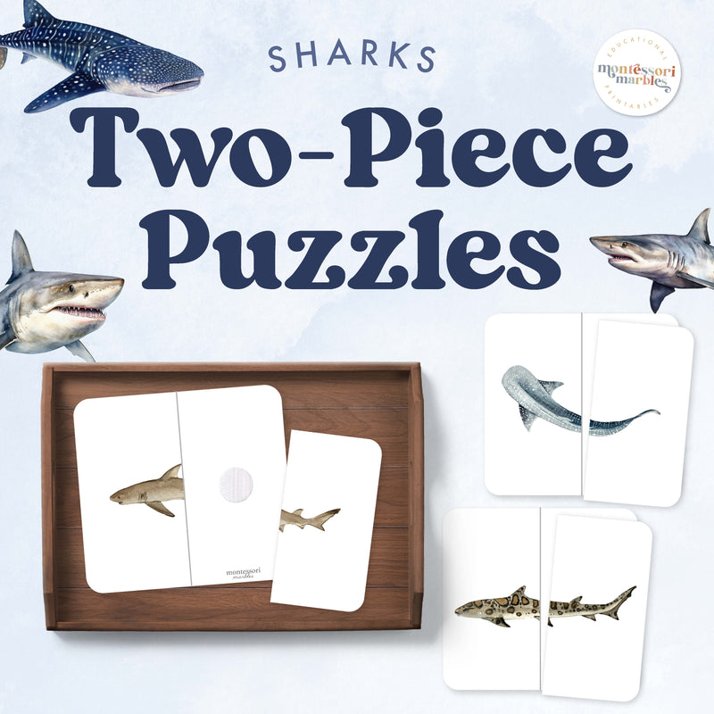 Shark symmetry puzzles for marine exploration practice