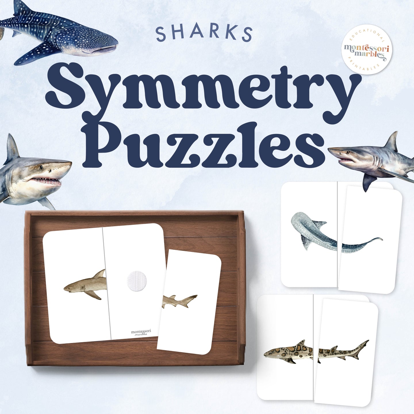 Sharks Symmetry Puzzles