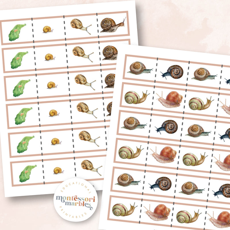 Snails Cutting Strips