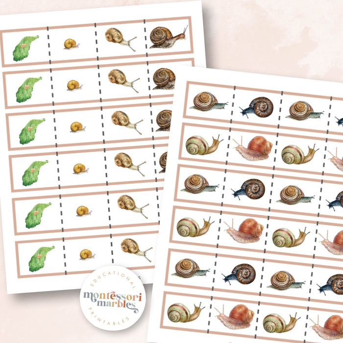 Snails Cutting Strips