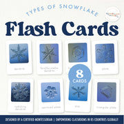 Snowflake types flash cards with real photographs — winter science, ages 3-6
