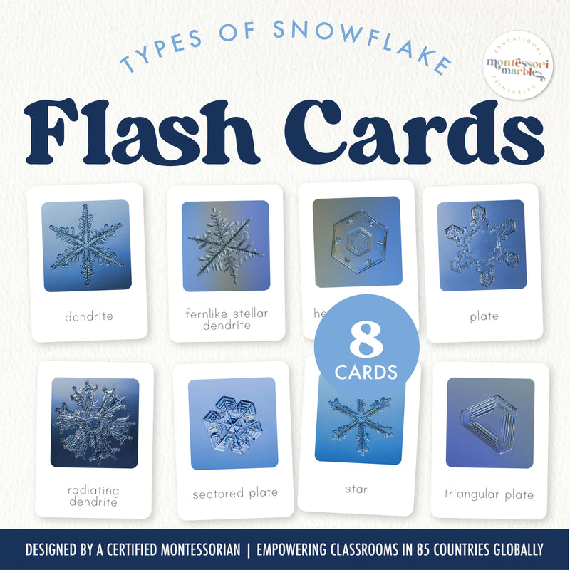 Snowflake types flash cards with real photographs — winter science, ages 3-6