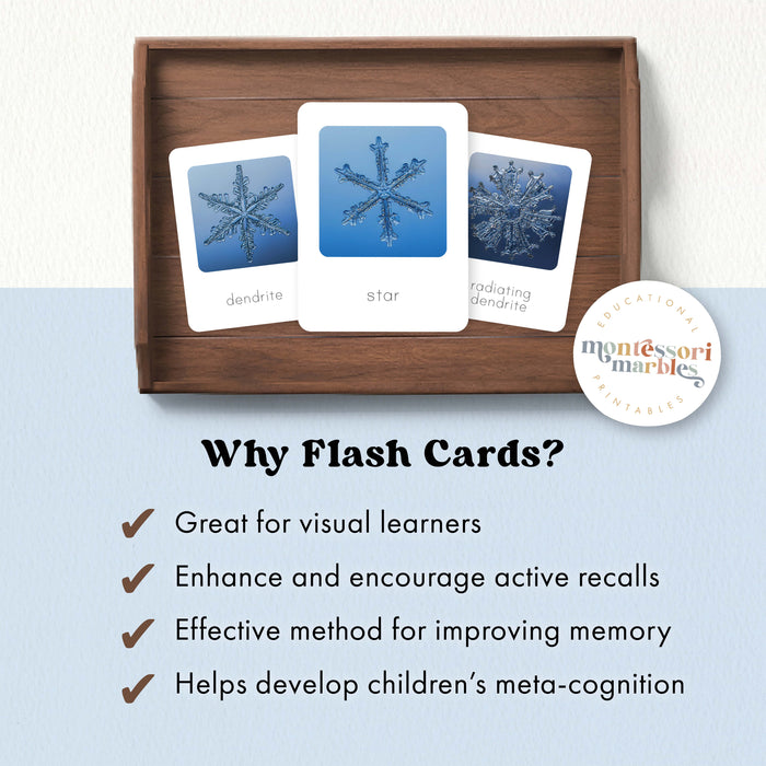 Types of Snowflakes Flash Cards