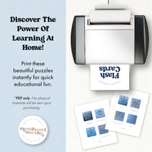 Load image into Gallery viewer, Types of Snowflakes Flash Cards
