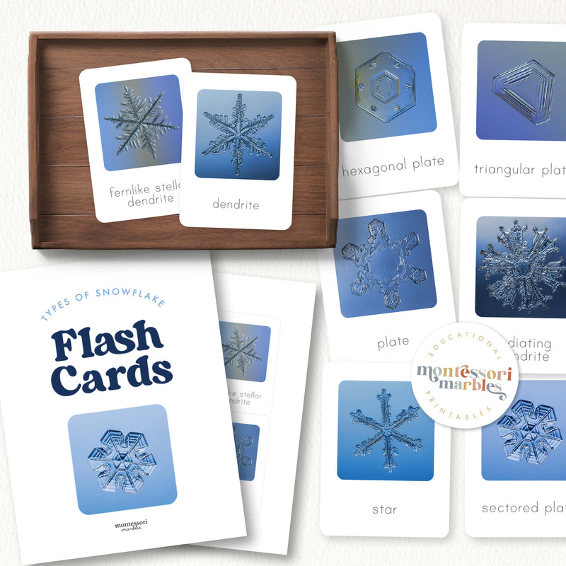 Types of Snowflakes Flash Cards