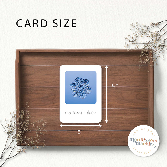 Types of Snowflakes Flash Cards