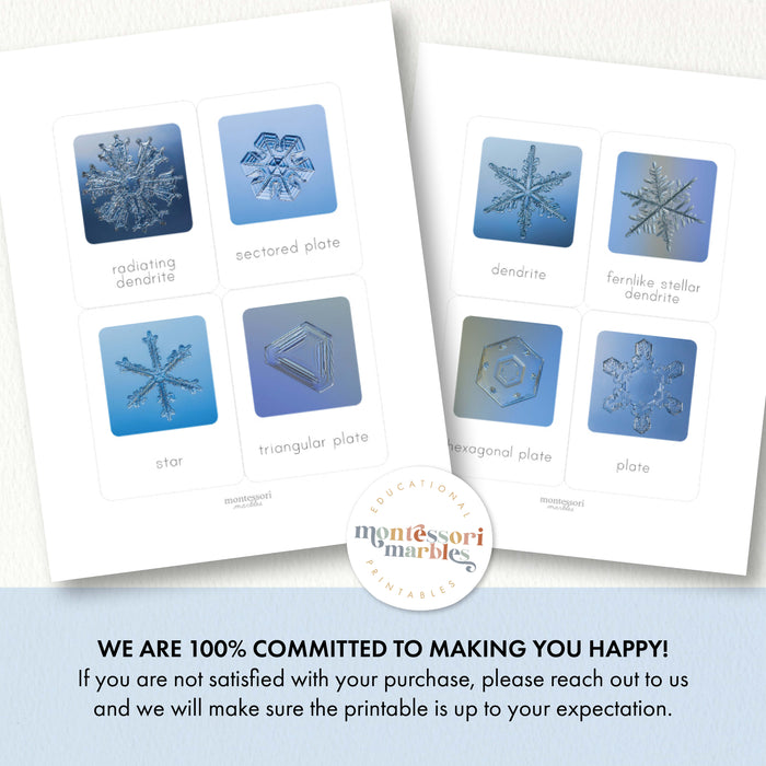 Types of Snowflakes Flash Cards
