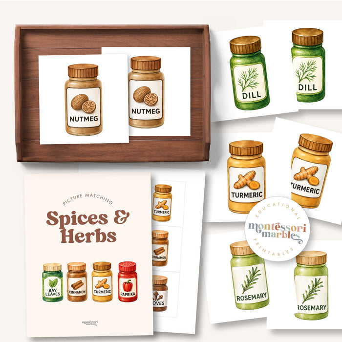 Spices & Herbs Picture Matching Cards