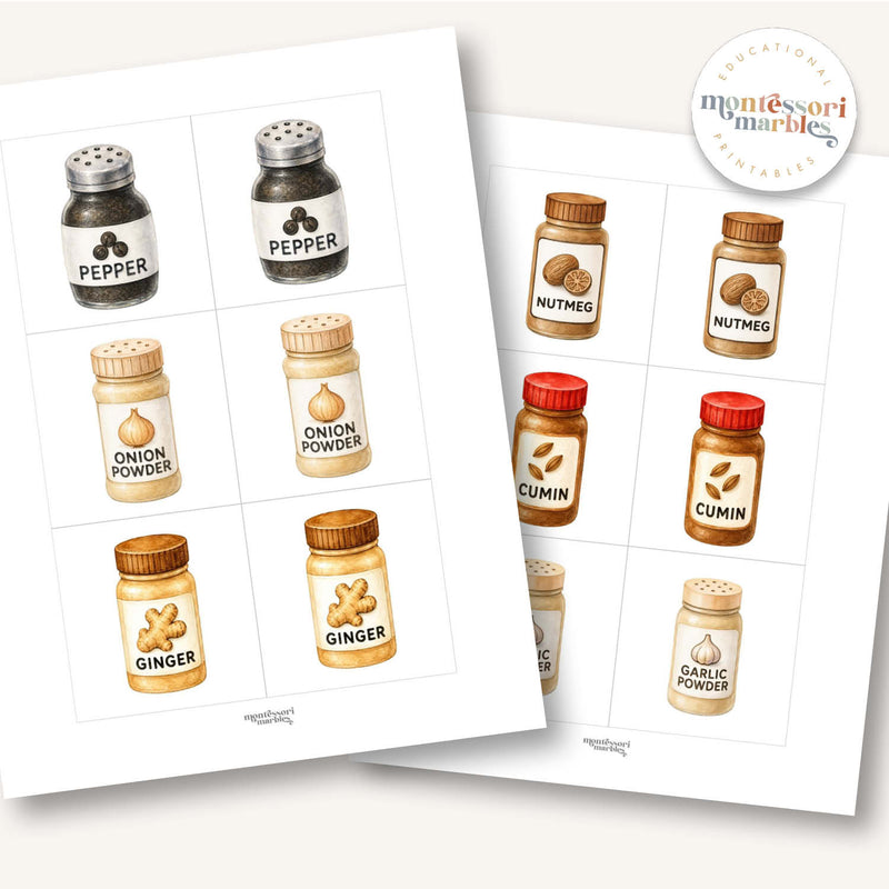 Spices & Herbs Picture Matching Cards