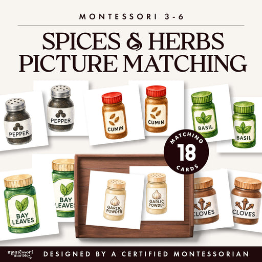 Watercolor spice and herb jar picture matching cards for Montessori toddlers