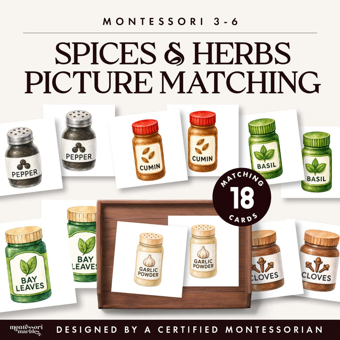 Watercolor spice and herb jar picture matching cards for Montessori toddlers
