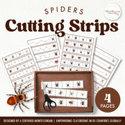 Spider cutting strips for fine motor skill practice and arachnid study